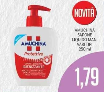Supermercati Piccolo Amuchina Sapone Liquido Mani Vari Tipi 250 ml offerta