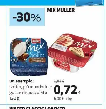 Mix muller