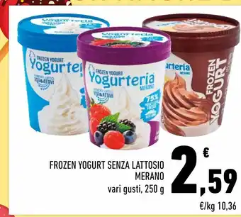 Conad Frozen yogurt senza lattosio merano offerta