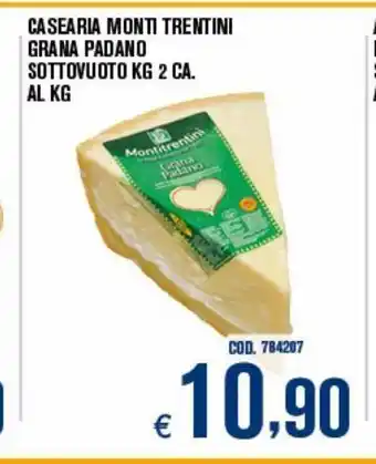 Adhoc Casearia monti trentini grana padano offerta