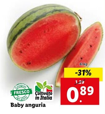 Lidl Baby anguria offerta