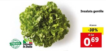 Lidl Insalata gentile offerta
