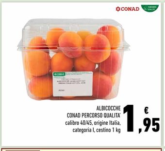 Conad Superstore Albicocche conad percorso qualita offerta