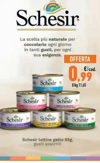 Schesir Lattine gatto 85 g gusti assortiti