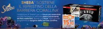 Sheba Sostiene il Ripristino Della Barriera Corallina