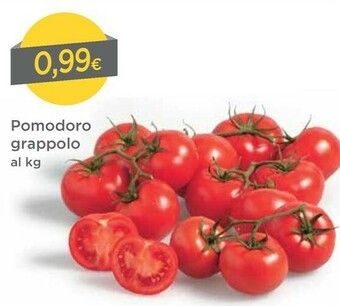 DPiù Pomodoro Grappolo offerta