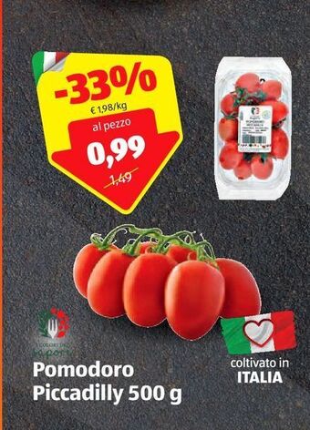 ALDI Pomodoro piccadilly 500 g offerta