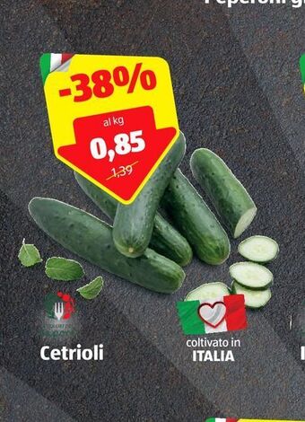 ALDI Cetrioli offerta