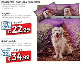 DPiù Lenzuola offerta