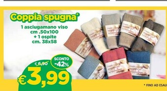 DPiù Coppia Spugna offerta