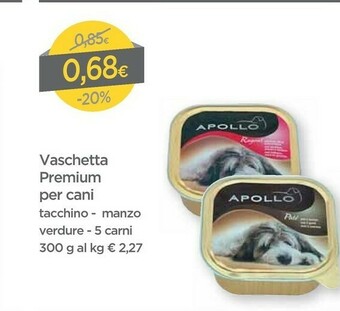 DPiù Apollo Vaschetta Premium Per Cani offerta