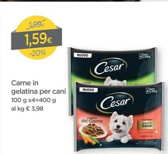 DPiù Cesar Carne In Gelatina Per Cani offerta