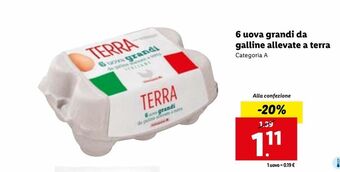 Lidl 6 uova grandi da galline allevate a terra offerta