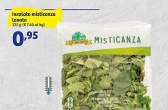 In'S Mercato Insalata Misticanza lavata 125 g offerta
