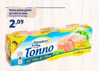 In'S Mercato Tonno pinna gialla all'olio di oliva 240 g offerta