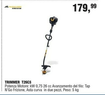 BricolaRge Decespugliatore offerta
