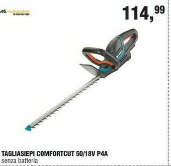 BricolaRge Tagliasiepi offerta