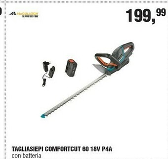 BricolaRge Tagliasiepi offerta