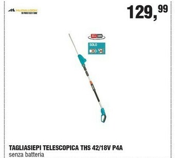 BricolaRge Tagliasiepi offerta