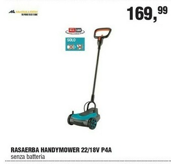 BricolaRge Tagliasiepi offerta