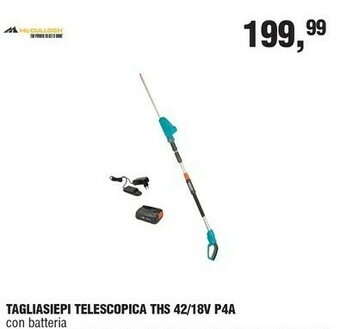 BricolaRge Tagliasiepi offerta