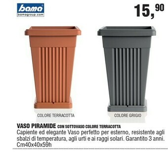 Vasi