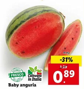 Lidl Baby anguria al kg offerta