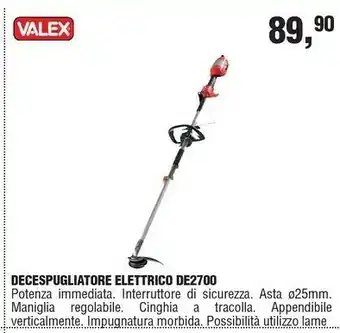BricolaRge Decespugliatore offerta