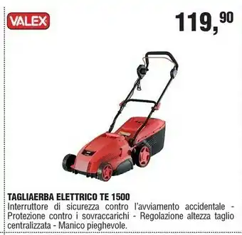 BricolaRge Tagliaerba offerta