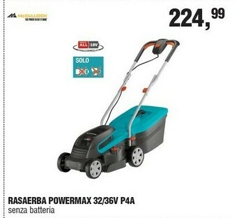 BricolaRge Tagliasiepi offerta