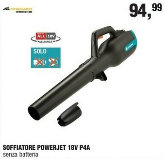 BricolaRge Tagliasiepi offerta