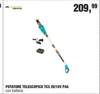 BricolaRge Tagliasiepi offerta