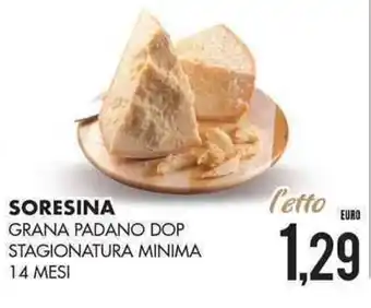 Soresina Grana Padano DOP Stagionatura Minima 14 Mesi