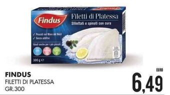Mazzeo Giocattoli Findus Filetti di Platessa gr. 300 offerta