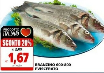Il Gigante Branzino offerta