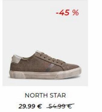 North star