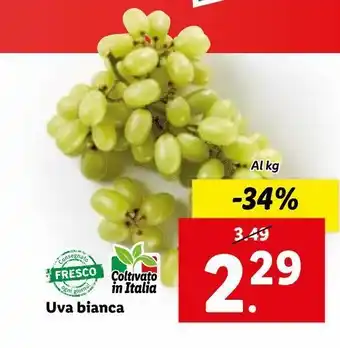 Lidl Uva bianca al kg offerta