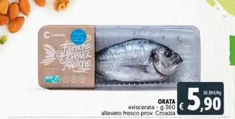 Deco Supermercati Orata eviscerata g 360 allevato fresco prov. croazia offerta