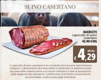 Quercete capocollo di suino casertano