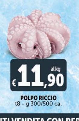 Deco Supermercati Polpo riccio offerta