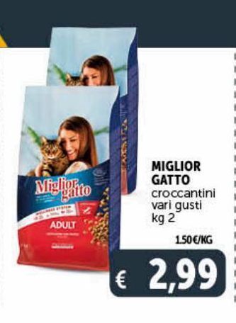 Miglior gatto croccantini vari gusti kg 2