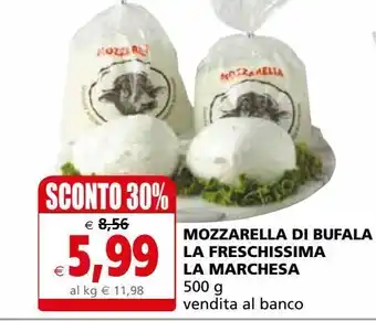 Il Gigante Mozzarella di bufala lafreschissima la marchesa offerta