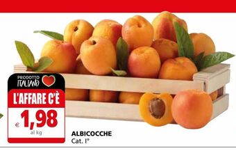 Il Gigante Albicocche offerta