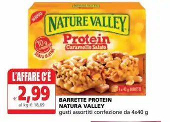 Il Gigante Barrette protein natura valley offerta