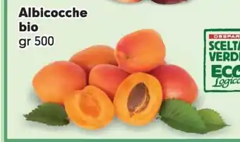Albicocche bio