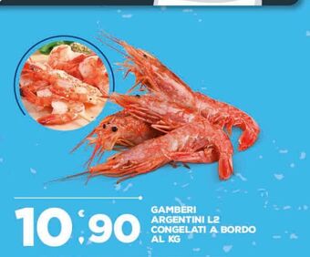 Gamberi argentini l2 congelati a bordo al kg