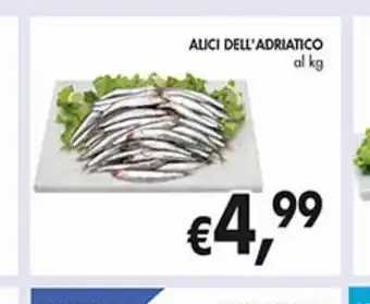 Alici dell'' adriatico