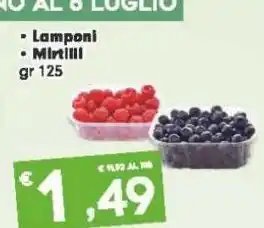 Fantinato Group -lamponi -mirtilli gr 125 offerta