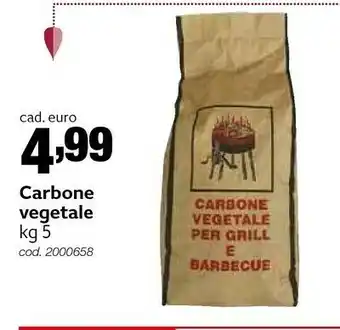 Italmark Carbonella offerta