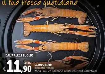 Scampo 31/40
